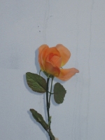 Roos zalm/oranje 63cm - 12 stuks (nog 1 set op voorraad, daarna niet meer leverbaar)